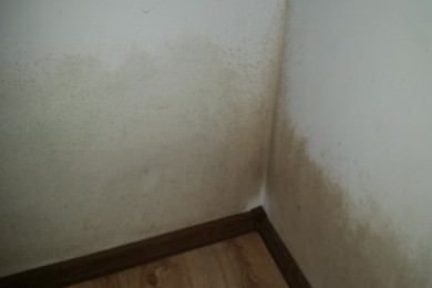 referenceZateplení bytu v posledním patře, odstranění kondenzace vody, PL
